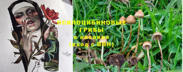 сатива Армянск