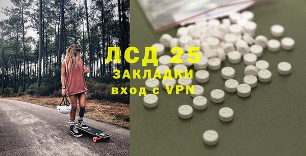 трава Аркадак