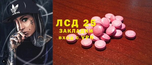 хмурый Арсеньев