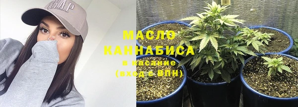 трава Аркадак
