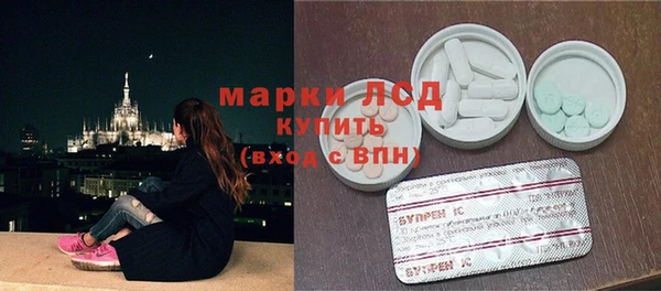 хмурый Арсеньев