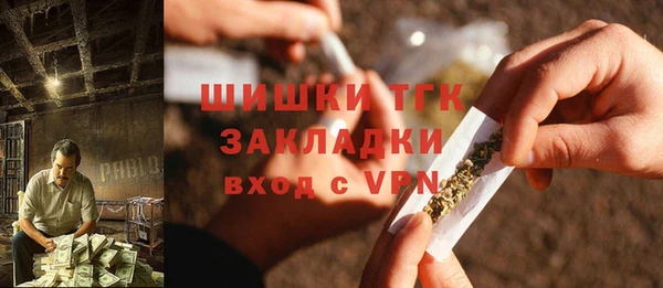 хмурый Арсеньев