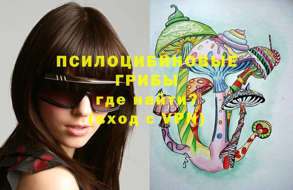 сатива Армянск