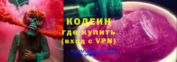 хмурый Арсеньев