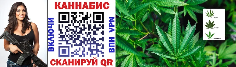 Шишки марихуана сатива  Зея 